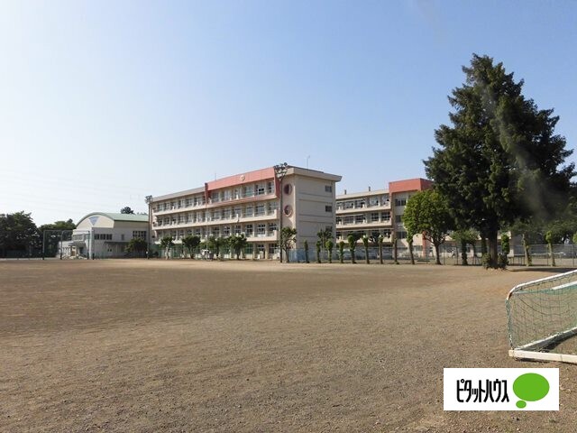 中学校　館林市立第一中学校（中学校）まで1175m