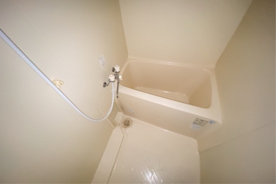 バス・シャワールーム　※別部屋の写真です