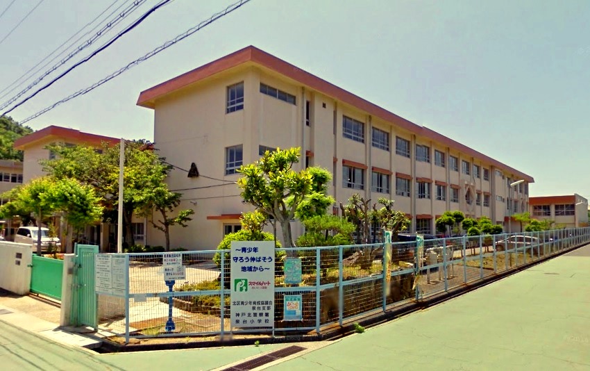 小学校　神戸市立泉台小学校（小学校）まで252m