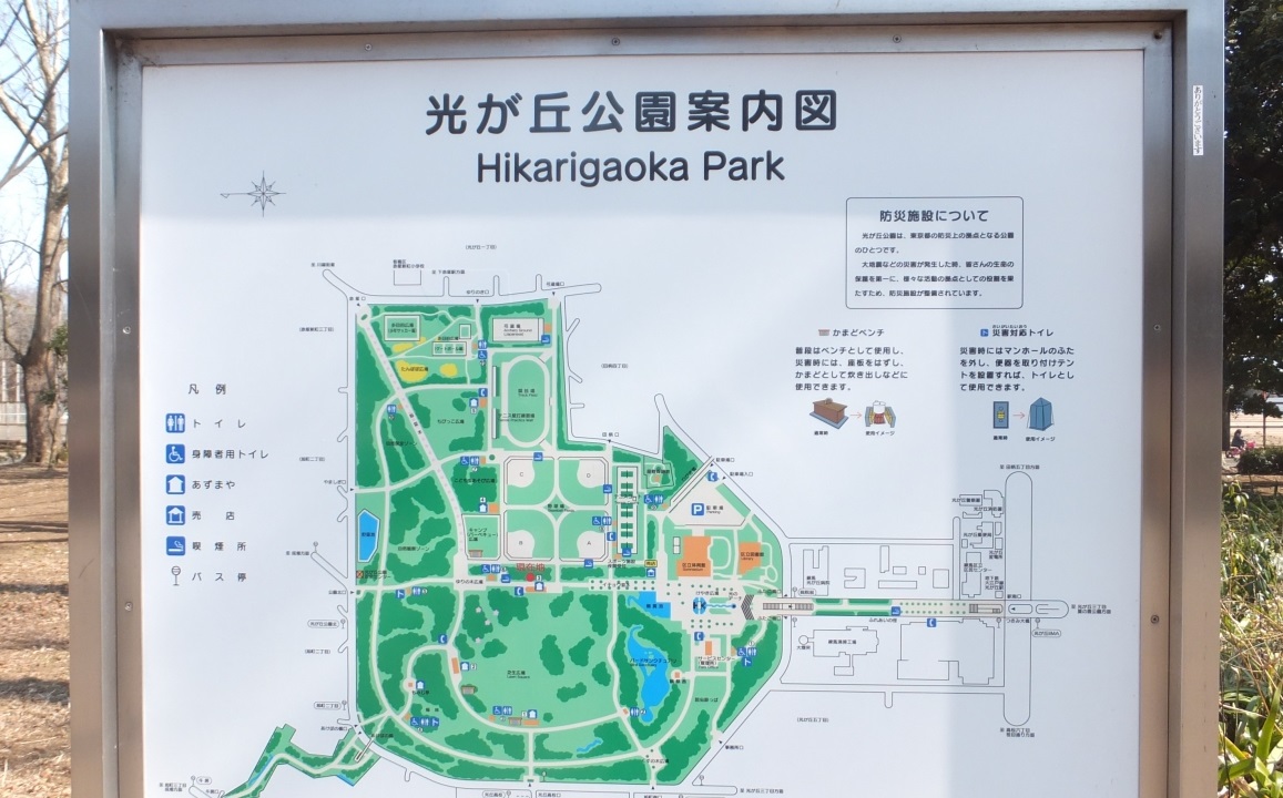 公園　光が丘公園（公園）まで100m