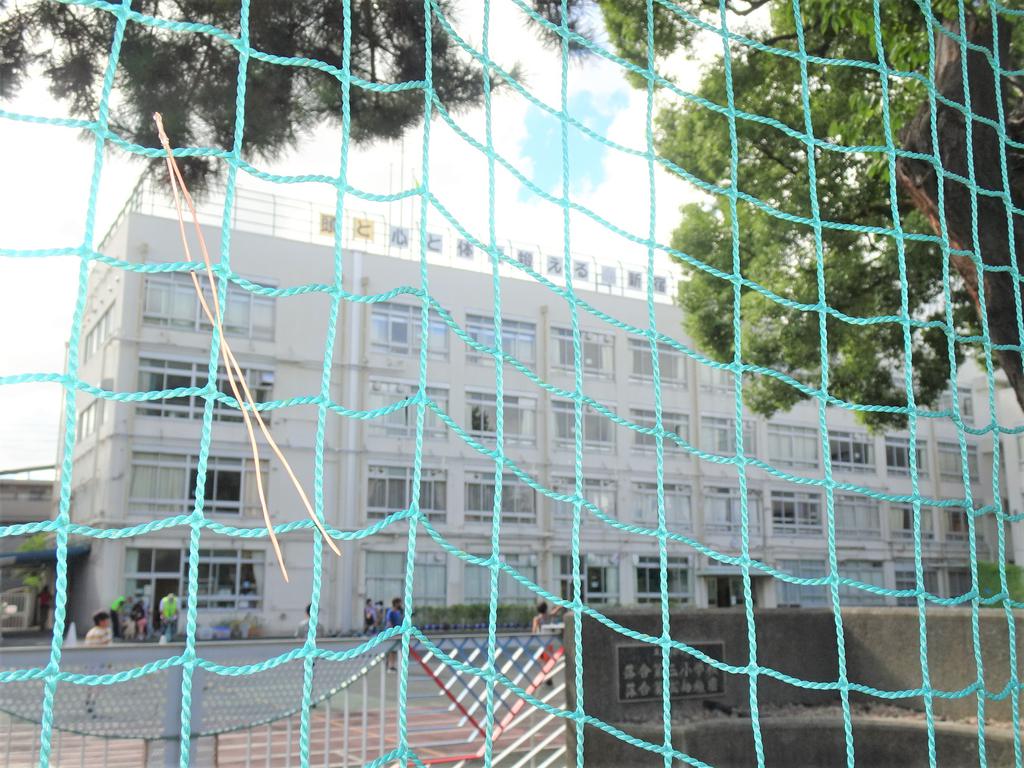 小学校　新宿区立落合三小学校（小学校）まで229m
