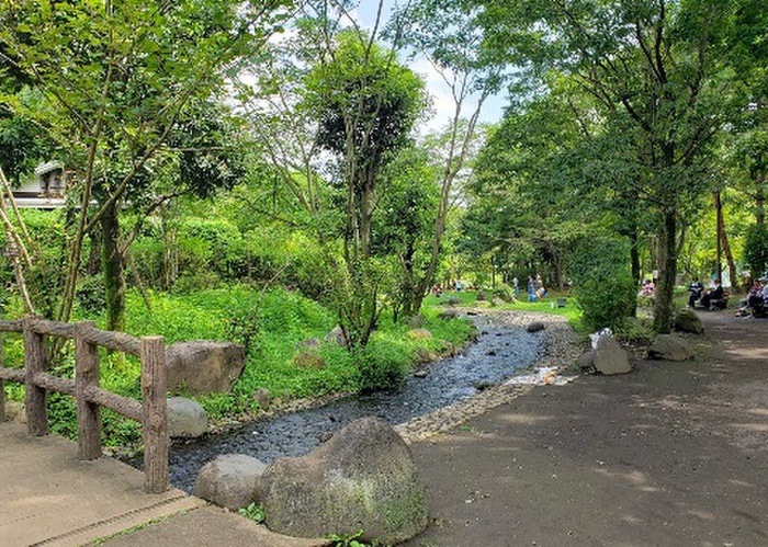 公園　相模川自然の村公園（公園）まで382m