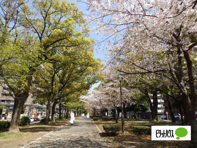 公園　大通り公園（公園）まで760m