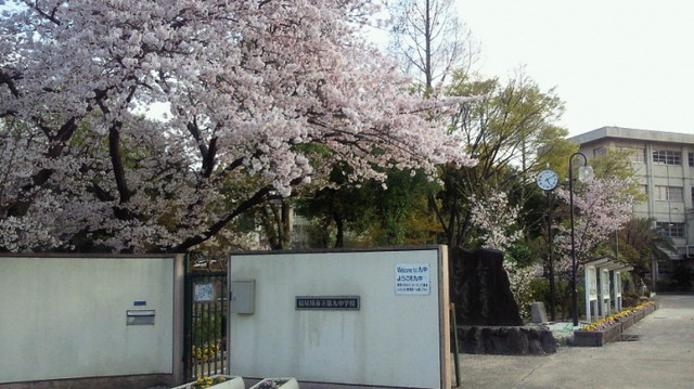 中学校　寝屋川市立第九中学校（中学校）まで1094m