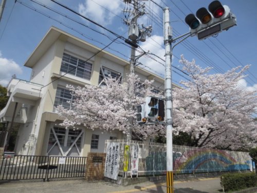 【ルネサンス21の小学校】