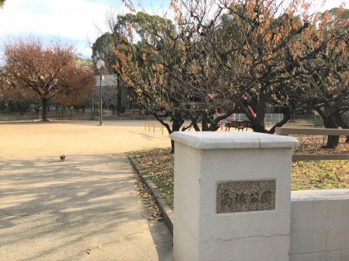 【プレサンス谷町九丁目駅前の公園】