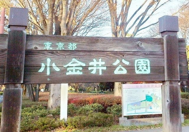 【小金井市関野町のアパートの公園】