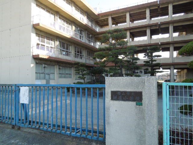 小学校　新涯小学校（小学校）まで290m