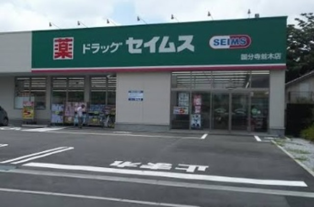ドラックストア　ドラッグセイムス国分寺並木店（ドラッグストア）まで1256m