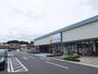 ドラックストア　カワチ薬品野村店（ドラッグストア）まで710m