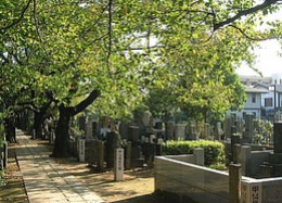 その他　谷中霊園（その他）まで655m