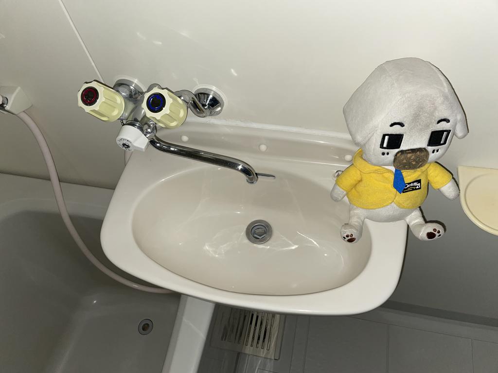 洗面設備　反転タイプのお部屋です。