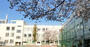 小学校　新宿区立江戸川小学校（小学校）まで462m