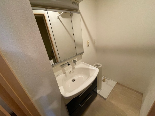 洗面設備　別部屋の写真です。
