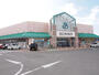 スーパー　サニー前原店（スーパー）まで511m