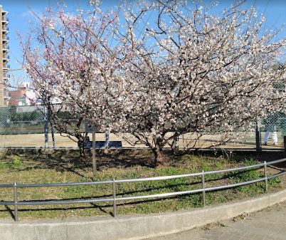 その他　三ノ瀬公園軟式庭球場（その他）まで458m