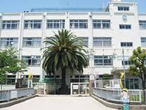 小学校　芝生小学校（小学校）まで313m