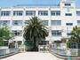 小学校　芝生小学校（小学校）まで313m