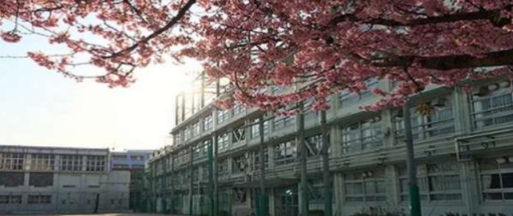 中学校　渋谷区立原宿外苑中学校（中学校）まで1009m