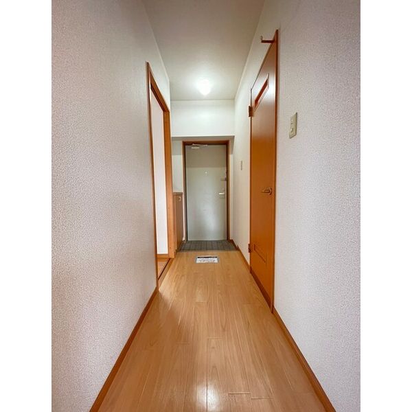 玄関　落ち着いた玄関です※別号室のお写真になります。