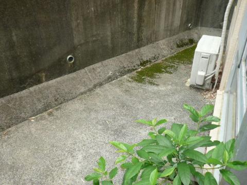 ヴィラ春日丘　庭　専用庭