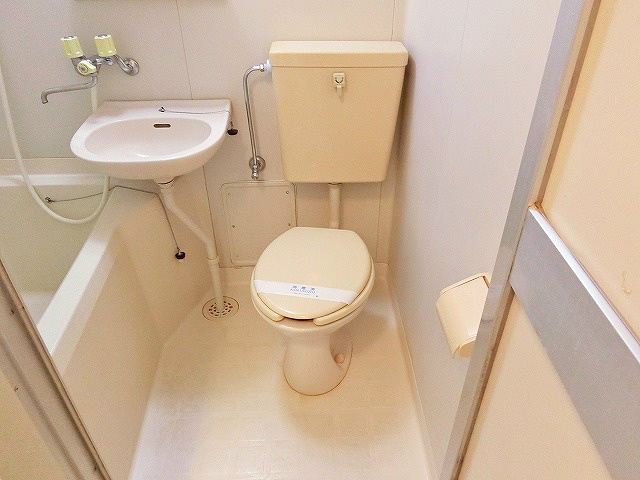 トイレ　シャワーで気持ちよくお掃除できるのでは！と思ってしまいます。