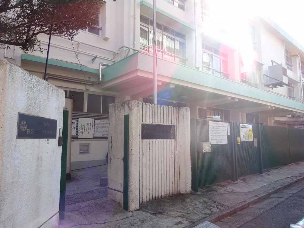 小学校　渋谷区立西原小学校（小学校）まで370m