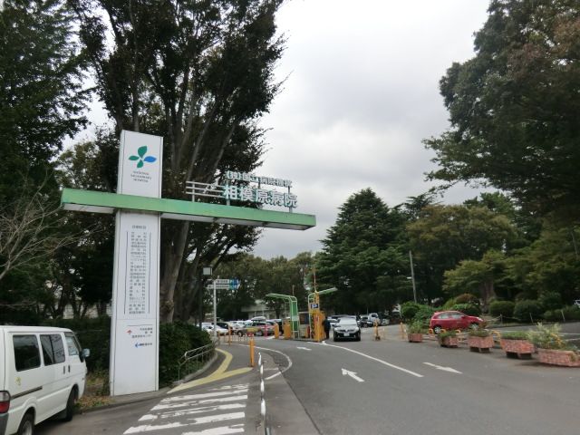病院　独立行政法人国立病院機構相模原病院（病院）まで489m