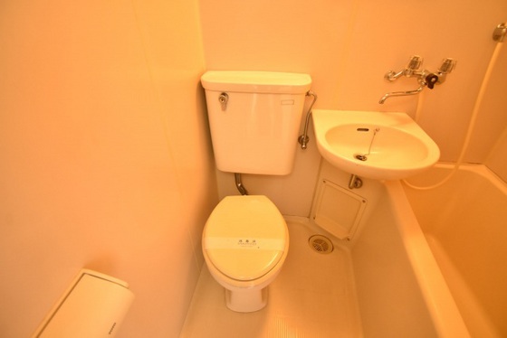 トイレ　※他部屋の写真です。