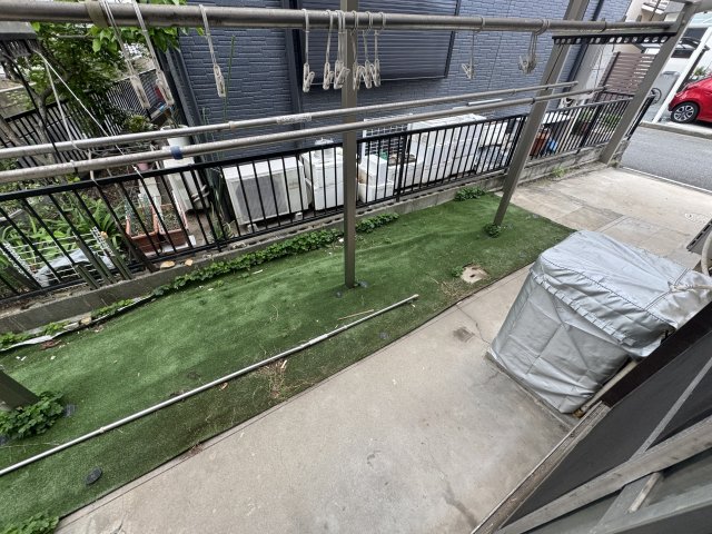 庭