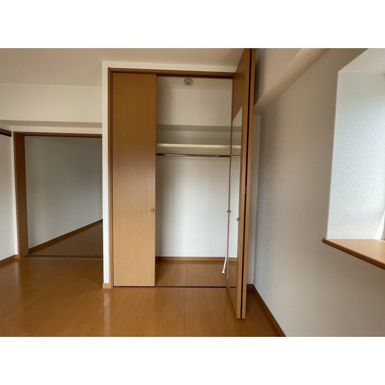 収納　同じ間取りの別部屋です。