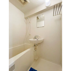 洗面設備　別号数のタイプです。現状優先になります。