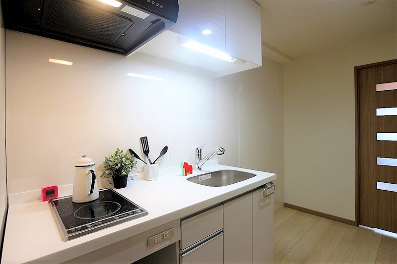 キッチン　2口のIHヒーター付きです。下にはオーブンが置けるスペース。