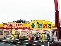 ドラックストア　どらっぐぱぱす板橋徳丸店（ドラッグストア）まで524m