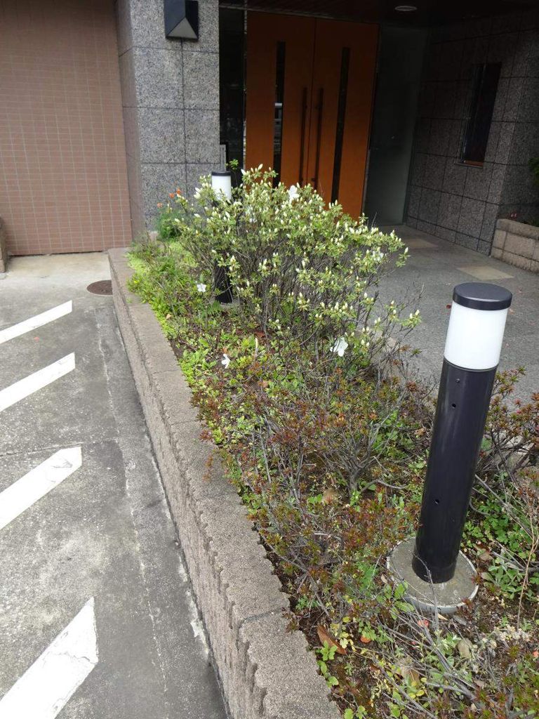 その他共有部分　共有部分