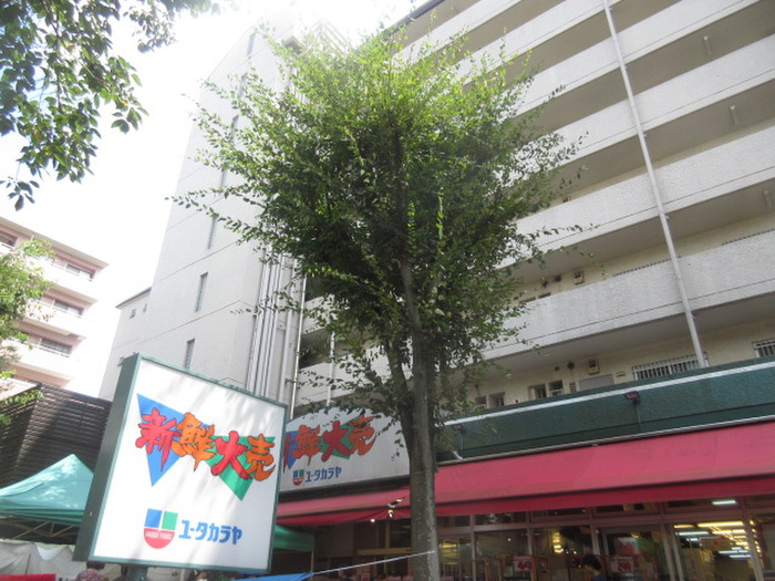 スーパー　ユータカラヤ 宮崎台店（スーパー）まで480m