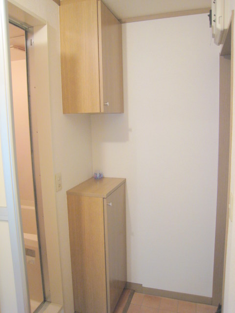 玄関　※リノベーション前の写真です