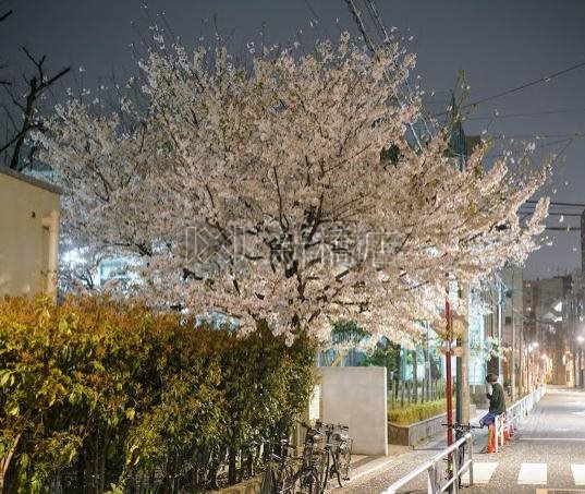 公園　柳北公園（公園）まで1193m