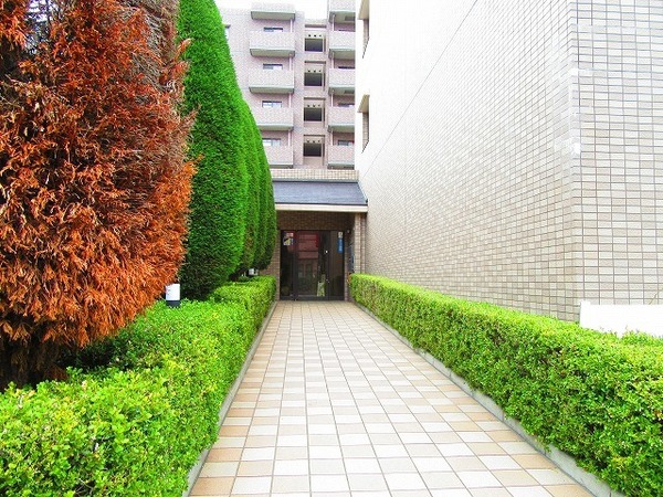 エントランス　植栽が美しいですね