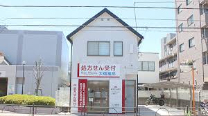 ドラックストア　大信薬局豊島園店（ドラッグストア）まで316m