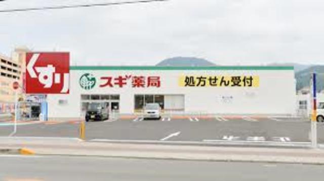 ドラックストア　スギ薬局亀岡東店（ドラッグストア）まで709m
