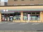 コンビニ　セブンイレブン苫小牧大町１丁目店（コンビニ）まで146m