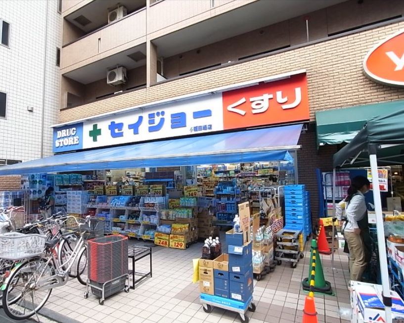 ドラックストア　くすりセイジョー稲田堤店（ドラッグストア）まで832m