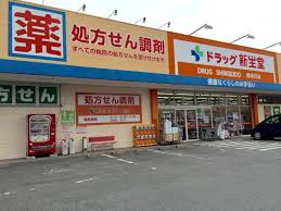ドラックストア　ドラッグ新生堂 那珂川店（ドラッグストア）まで649m