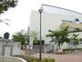 小学校　浦安市立東野小学校（小学校）まで578m
