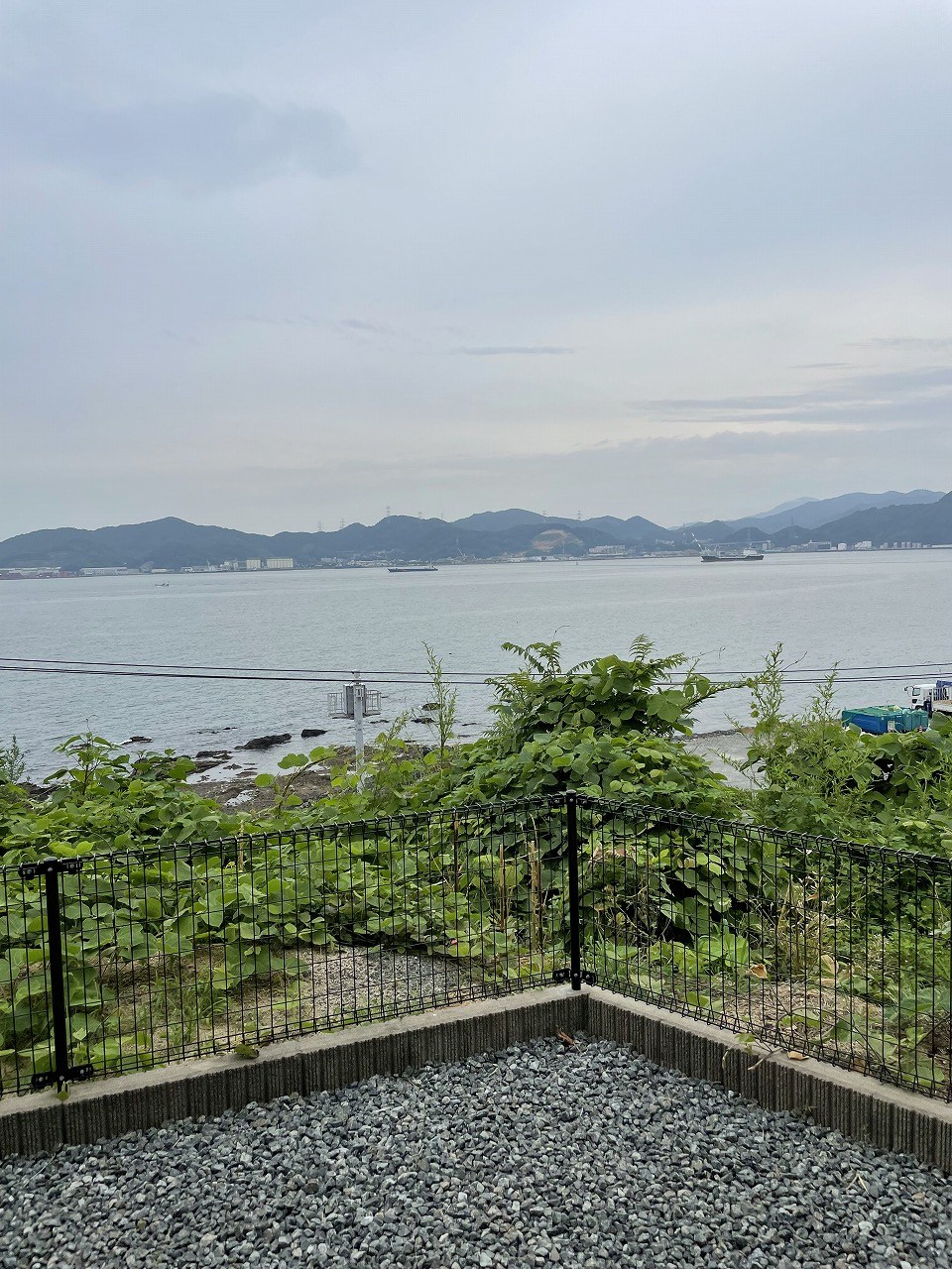庭