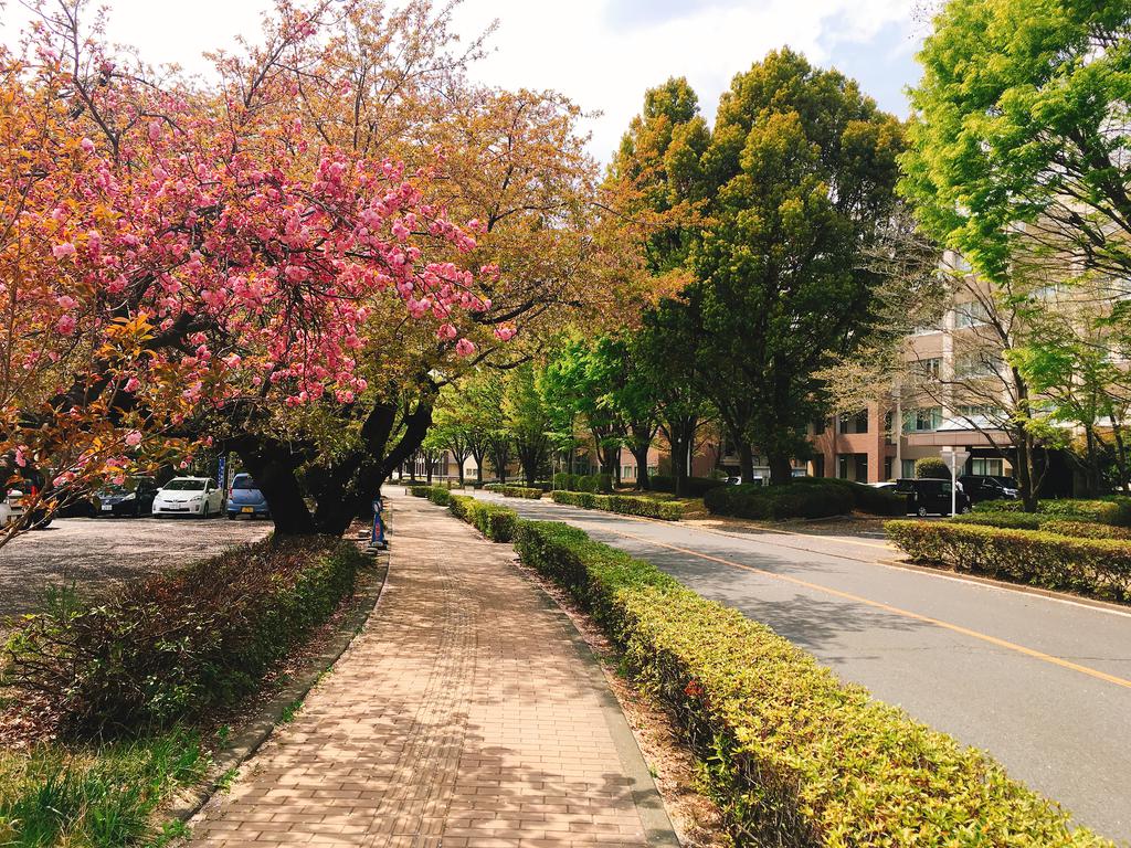 大学・短大　国立群馬大学（大学・短大）まで899m