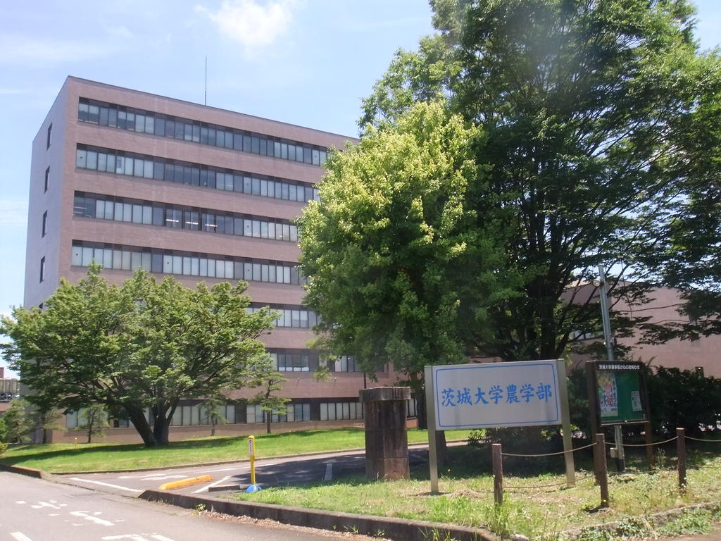 ＪＲ常磐線 荒川沖駅 バス乗車時間：15分 最寄りバス停で下車 徒歩4分 2階建 築28年の周辺写真