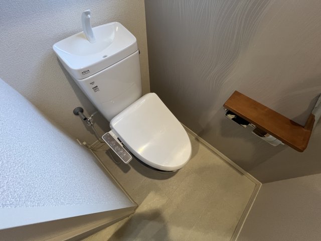 フォーレス沢野南A棟のトイレ写真