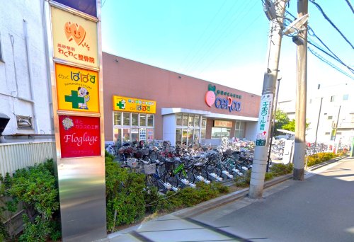 ドラックストア　どらっぐぱぱす セルカ高砂店（ドラッグストア）まで841m